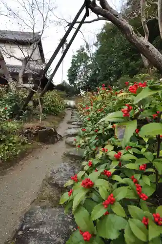 當麻寺(奈良県)