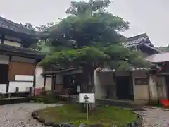 西圓寺の自然