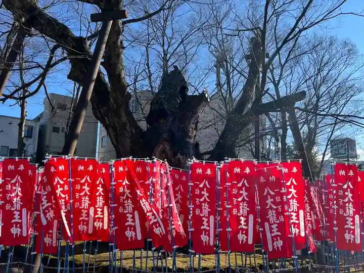 秩父今宮神社(埼玉県)