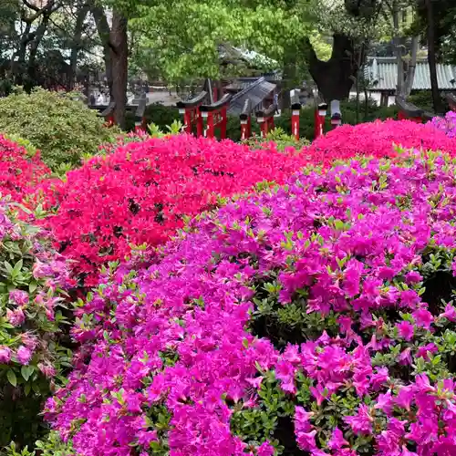 根津神社(東京都)