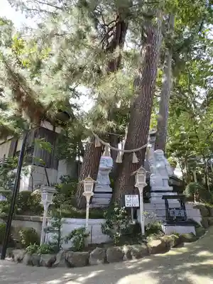 坂井神社(新潟県)