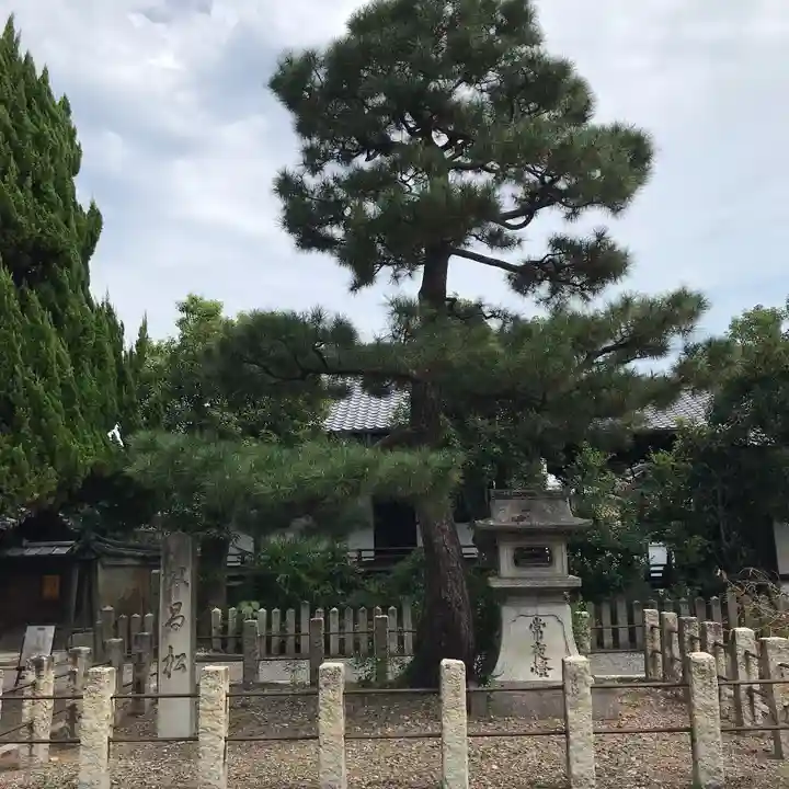 本法寺の自然