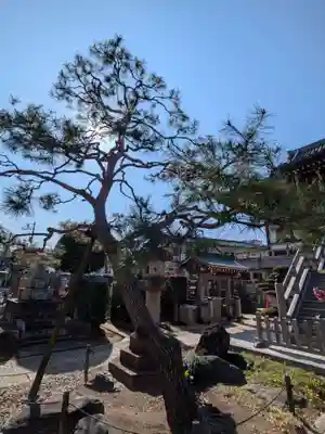 来迎寺(東京都)