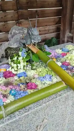 鎮守氷川神社の手水