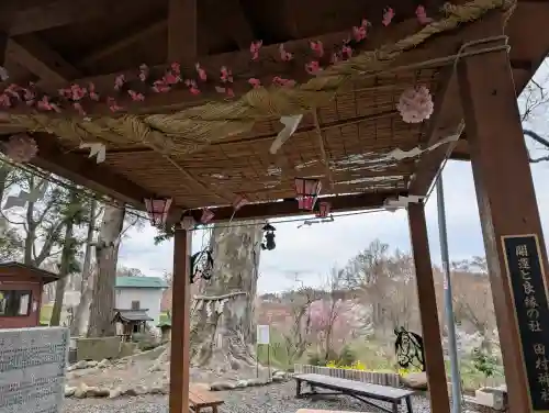阿久津「田村神社」（郡山市阿久津町）旧社名：伊豆箱根三嶋三社の{uncategorized: "未分類", other: "その他", undefined: "問題あり", building: "その他建物", grave: "お墓", sacred_gate: "鳥居", guardian: "狛犬", statue: "像", buddha: "仏像", history: "歴史", nature: "自然", garden: "庭園", animal: "動物", pagoda: "塔", temizu: "手水舎", mountain_gate: "山門・神門", sanctuary: "本殿・本堂", subordinate: "末社・摂社", art: "芸術", scenery: "景色", jizo: "地蔵", ema: "絵馬", goshuin: "御朱印", omikuji: "おみくじ", items: "授与品その他", amulet: "お守り", goshuincho: "御朱印帳", eats: "食事", festival: "お祭り", votive_dance: "神楽", shichigosan: "七五三参", wedding: "結婚式", experience: "体験その他", initially: "初詣", around: "周辺", anti_infection: "感染症対策"}