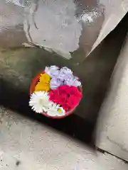 菅生神社の手水