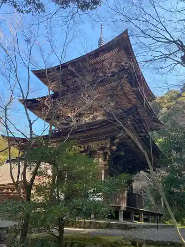 西明寺の建物その他