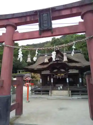 白鬚神社の鳥居