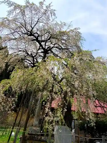 永泉寺(福島県)