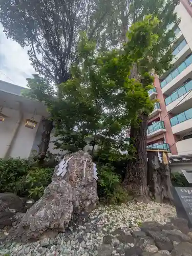 神田神社（神田明神）の自然