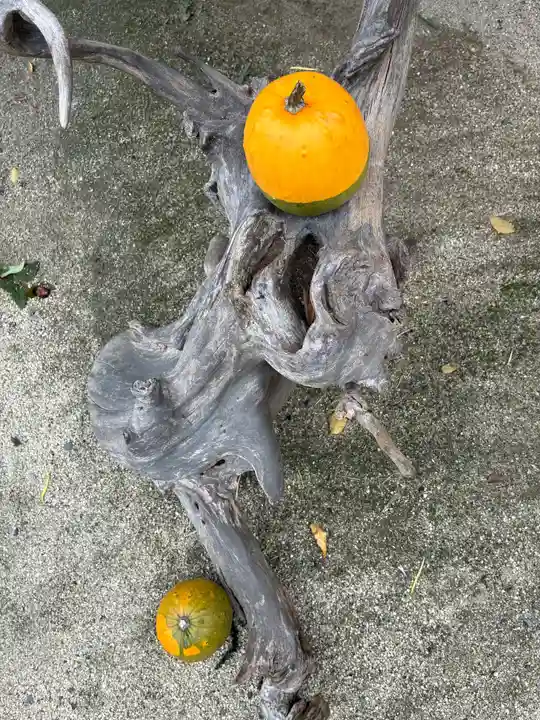 常陸國總社宮(茨城県)