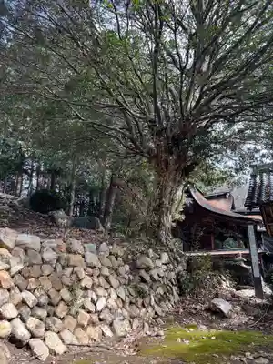 手力雄神社(岐阜県)