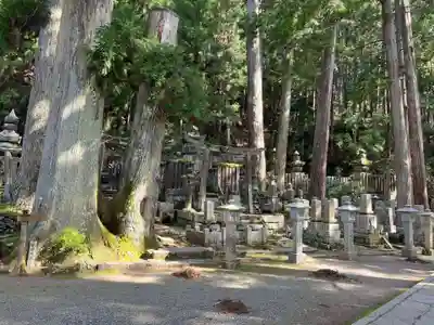 高野山金剛峯寺奥の院(和歌山県)