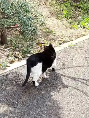 白金氷川神社(東京都)