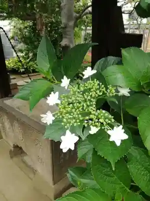 長久院のその他建物