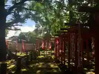 武芳稲荷神社の鳥居