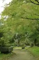 南湖神社の自然