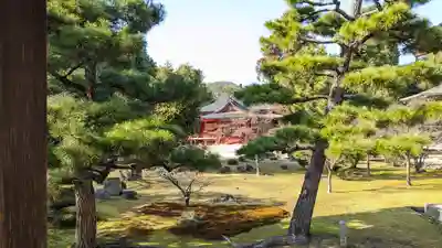 大覚寺(京都府)