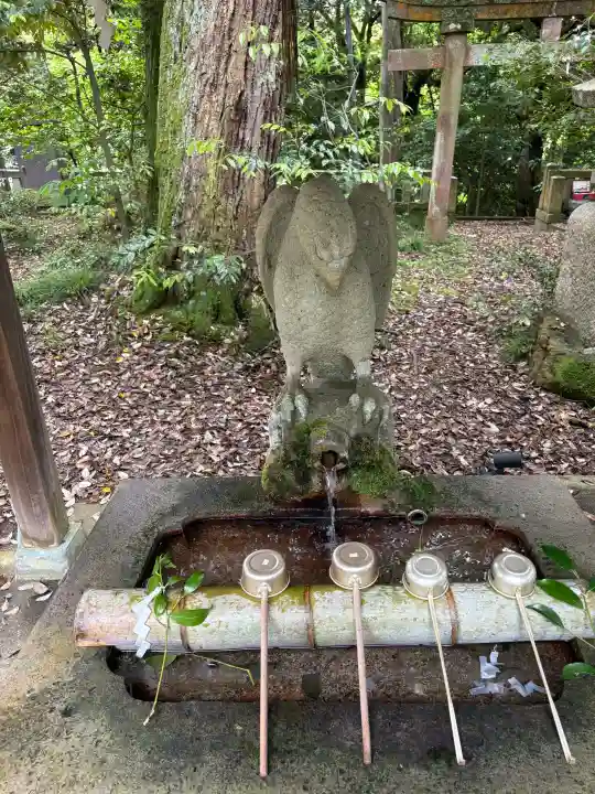 服部神社の{uncategorized: "未分類", other: "その他", undefined: "問題あり", building: "その他建物", grave: "お墓", sacred_gate: "鳥居", guardian: "狛犬", statue: "像", buddha: "仏像", history: "歴史", nature: "自然", garden: "庭園", animal: "動物", pagoda: "塔", temizu: "手水舎", mountain_gate: "山門・神門", sanctuary: "本殿・本堂", subordinate: "末社・摂社", art: "芸術", scenery: "景色", jizo: "地蔵", ema: "絵馬", goshuin: "御朱印", omikuji: "おみくじ", items: "授与品その他", amulet: "お守り", goshuincho: "御朱印帳", eats: "食事", festival: "お祭り", votive_dance: "神楽", shichigosan: "七五三参", wedding: "結婚式", experience: "体験その他", initially: "初詣", around: "周辺", anti_infection: "感染症対策"}