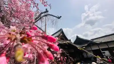 醍醐寺(京都府)