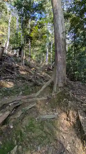 後深草天皇皇子　性仁親王墓・文覚上人墓(京都府)