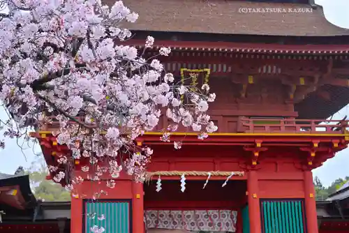 富士山本宮浅間大社(静岡県)