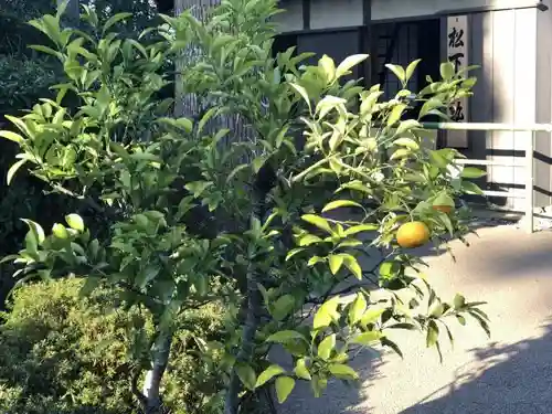 松陰神社の自然