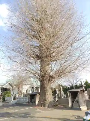 称名寺(埼玉県)