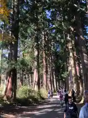 戸隠神社九頭龍社(長野県)