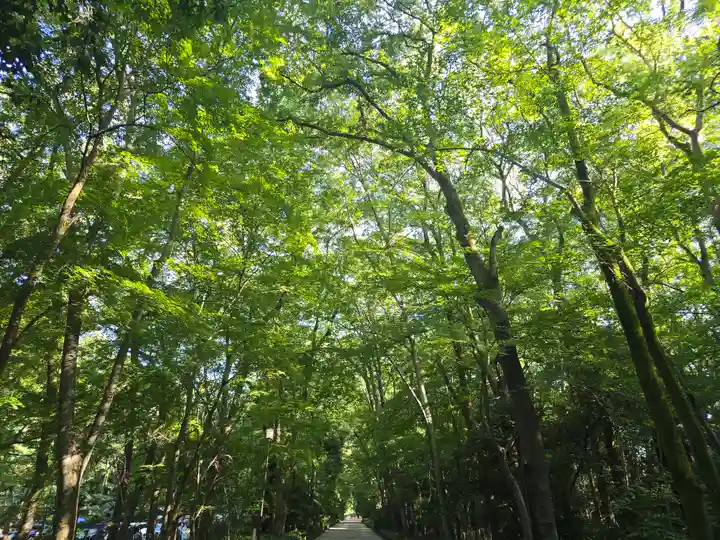 河合神社(鴨川合坐小社宅神社)(京都府)