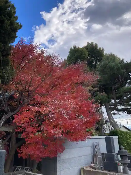 清雲寺(神奈川県)