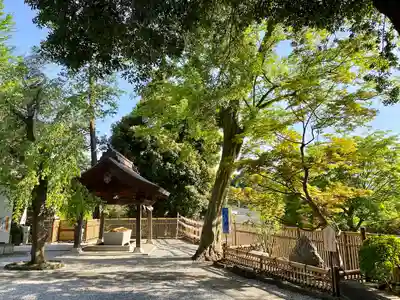 師岡熊野神社(神奈川県)