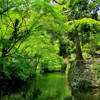 八幡神社松平東照宮(愛知県)