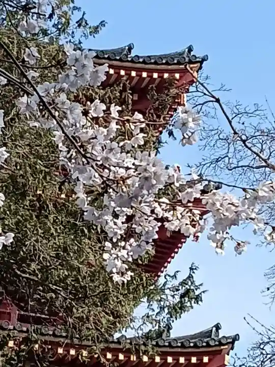 高幡不動尊 金剛寺(東京都)