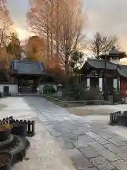 満行寺の庭園