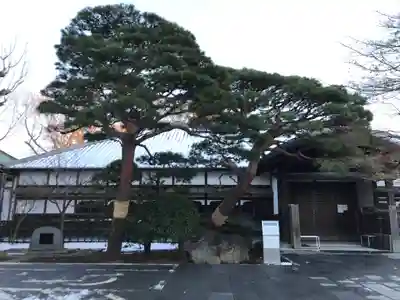 祐天寺(東京都)