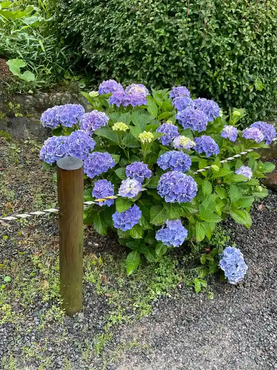楽法寺(雨引観音)の自然