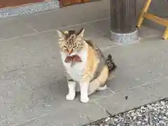 前玉神社の動物