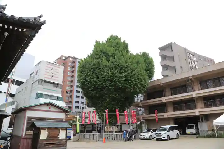 櫛田神社の自然