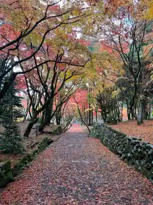 鶏足寺の{uncategorized: "未分類", other: "その他", undefined: "問題あり", building: "その他建物", grave: "お墓", sacred_gate: "鳥居", guardian: "狛犬", statue: "像", buddha: "仏像", history: "歴史", nature: "自然", garden: "庭園", animal: "動物", pagoda: "塔", temizu: "手水舎", mountain_gate: "山門・神門", sanctuary: "本殿・本堂", subordinate: "末社・摂社", art: "芸術", scenery: "景色", jizo: "地蔵", ema: "絵馬", goshuin: "御朱印", omikuji: "おみくじ", items: "授与品その他", amulet: "お守り", goshuincho: "御朱印帳", eats: "食事", festival: "お祭り", votive_dance: "神楽", shichigosan: "七五三参", wedding: "結婚式", experience: "体験その他", initially: "初詣", around: "周辺", anti_infection: "感染症対策"}