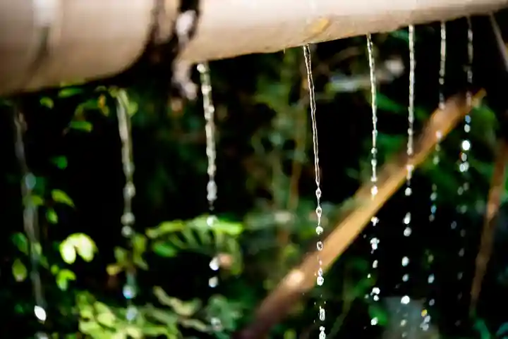 白笹稲荷神社の手水舎