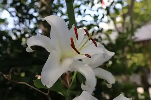 開成山大神宮の庭園