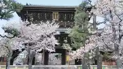 くろ谷 金戒光明寺の山門