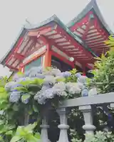 大島稲荷神社の自然