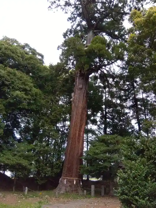 八和田神社(埼玉県)