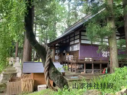 山家神社の本殿・本堂