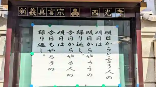 谷中西光寺(東京都)