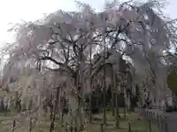足羽神社(福井県)