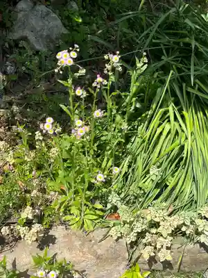 瀧口神社(千葉県)