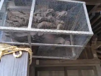 子ノ神社（早野）(神奈川県)